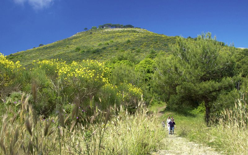 Monte Solaro