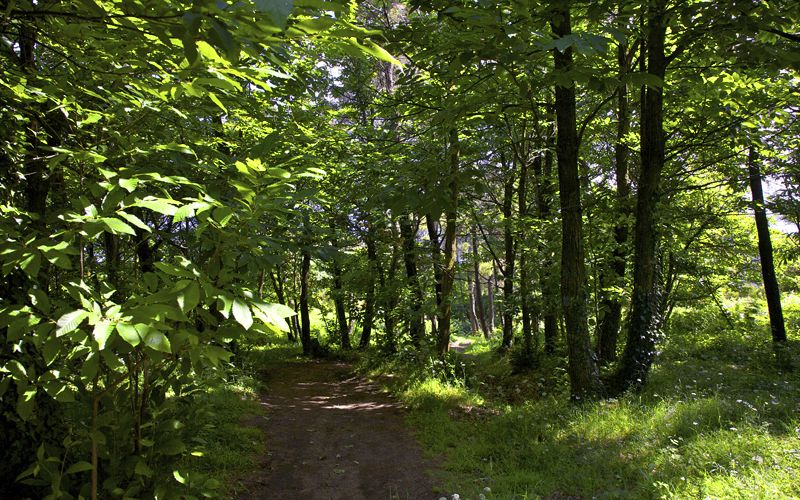 Monte Solaro